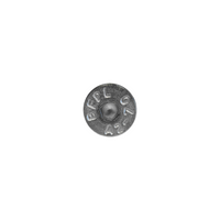 Screen Shower Screw