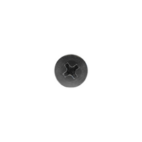 Screen Shower Screw