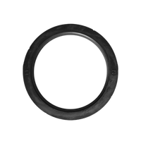 Cimbali/Nuova Simonelli/Victoria Arduino Grouphead Gasket
