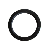 E61 Grouphead Gasket