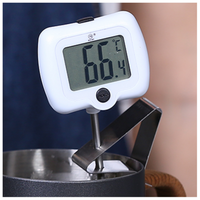 Digital Thermometer