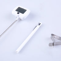 Digital Thermometer